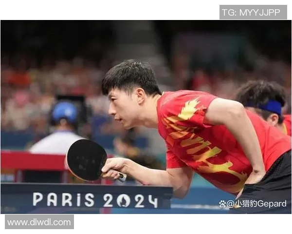 武汉乒乓球队全运会征程回顾与突破成就的深度分析